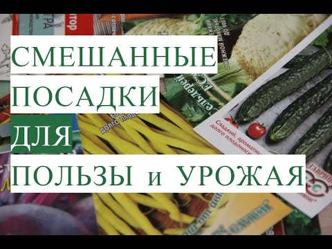 Видео: Важно! Смешанные Посадки. Золотое Правило Огородника.