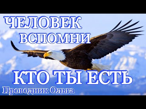 Видео: ЧЕЛОВЕК ВСПОМНИ КТО ТЫ ЕСТЬ!!! ⚡️@novoe_probujdene_chelovchestva