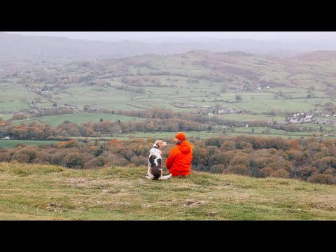 Видео: Осенние выходные дома // планы домов, зимний рынок и новости Осло