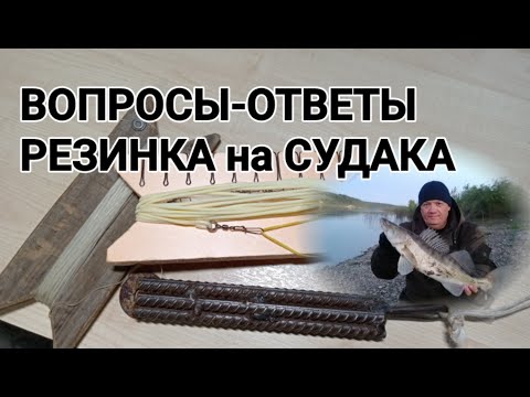 Видео: РЕЗИНКА на СУДАКА ВОПРОС-ОТВЕТ УРОК №2