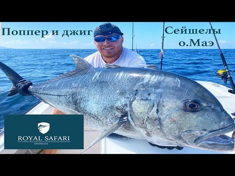 Видео: Поппер и Джиг. Giant Trevally. Сейшелы, Остров Маэ.