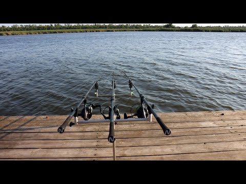 Видео: Дневная рыбалка на сазана, мощные поклёвки и сильная рыба, снасти для карпфишинга carpfishing