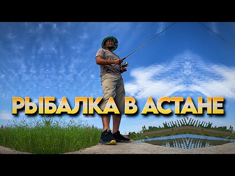 Видео: РЫБАЛКА В ГОРОДЕ АСТАНА? НА СПИНИНГ? ТУТ РАЗВЕ ЕСТЬ РЫБА?