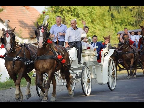 Видео: Закарпатське ексклюзивне весілля з гуртом Голоси Боржави