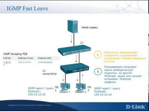 Видео: Основы работы с мультикастом