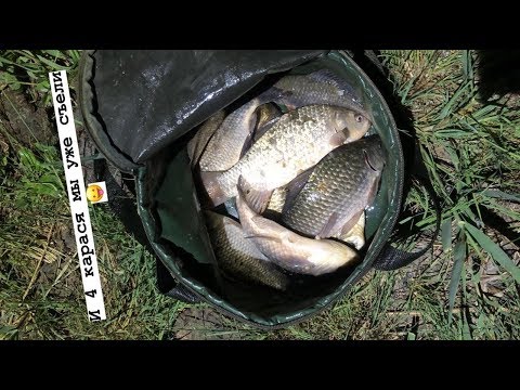 Видео: Душевная рыбалочка на Маныче!!!))))