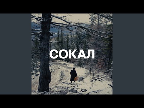 Видео: Сокал