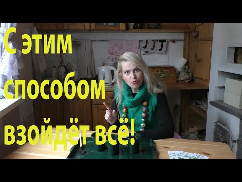 Видео: Вот так взойдут любые семена!