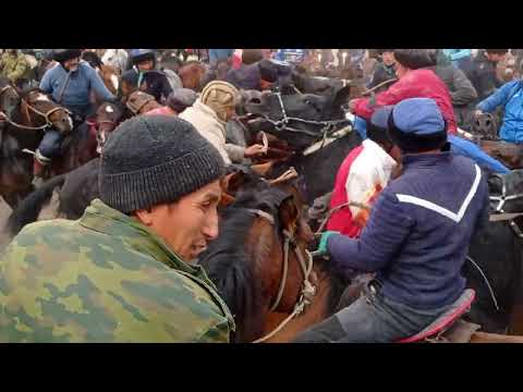 Видео: Лейлек р, н Чимгентда улак Легендарный Апык чавандаздын улу Кайрат чавандаз👍 23-10-2022