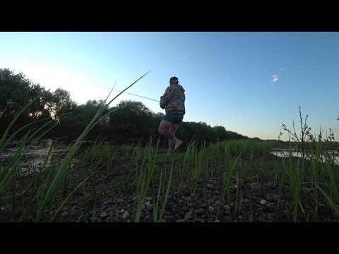 Видео: РАЗВЕДКА ПО ЩУКЕ, ВОЗЛЕ ДОМА \ ВЕЧЕРНИЙ ВЫХОД \ ЖАРА НА СЕВЕРЕ !