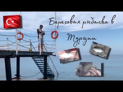 Видео: Рыбалка в Турции. Ловлю в отеле. Ядовитый улов. Часть 1