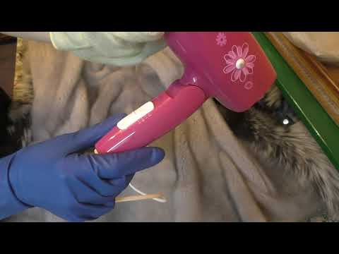 Видео: Как почистить шубу бензином?