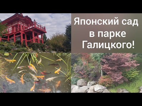 Видео: Прогулка по японскому саду в парке Галицкого 26 августа/Очень красиво в любое время/