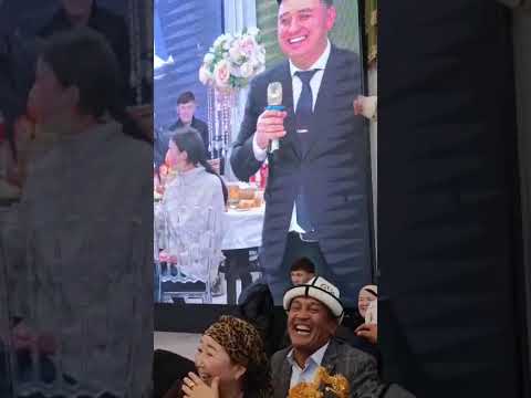 Видео: 5 ноября 2025 г.