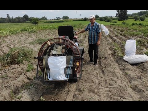 Видео: Сделал КАРТОФЕЛЕУБОРОЧНЫЙ КОМБАЙН 2021!  Испытание на огороде!