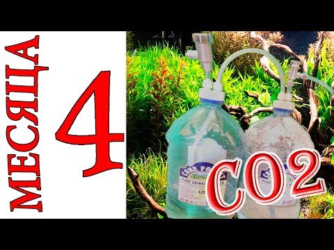 Видео: ДОРАБАТЫВАЕМ БУТЫЛОЧНОЮ СИСТЕМУ CO2 ДО СТАБИЛЬНОЙ РАБОТЫ||DIY CO2 System by China с алиэкспресс