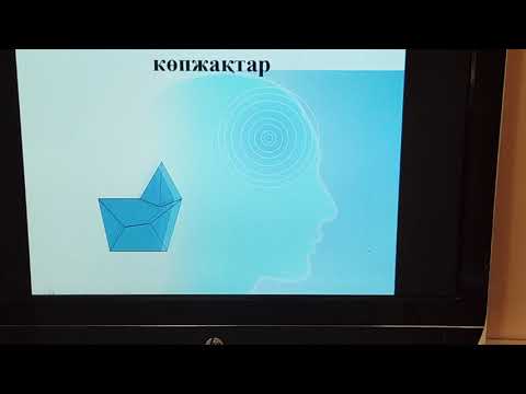 Видео: Көпжақтар туралы түсінік