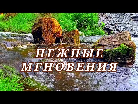 Видео: Музыка, которая погрузит вас в атмосферу глубокого спокойствия и уюта.