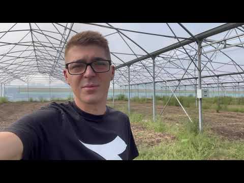 Видео: Блочная теплица Селеко. Тонкости теплиц промышленного объема