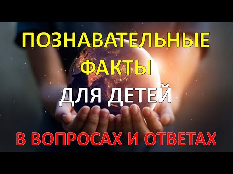 Видео: Интересные факты для детей