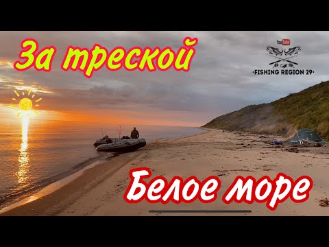 Видео: Рыбалка на мысе Малинник.Ловим Треску.#белоеморе #треска #рыбалка2021