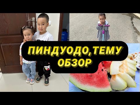 Видео: Пиндуодо,Тему обзор