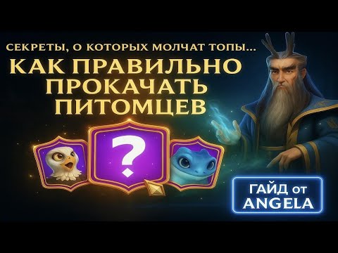Видео: Как правильно прокачать питомцев #1   ANGEL