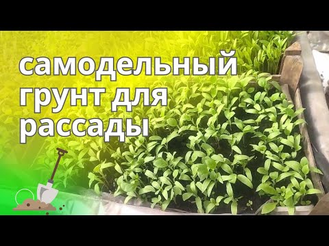 Видео: Грунт для рассады, какой лучше - покупной или самодельный.