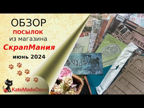 Видео: Обзор покупок из СкрапМании (июнь 24)