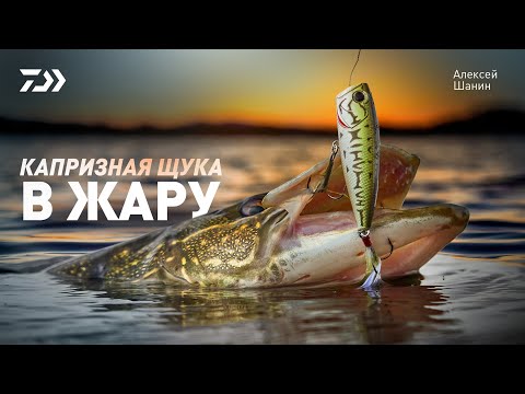 Видео: Капризная щука в жару x Алексей Шанин