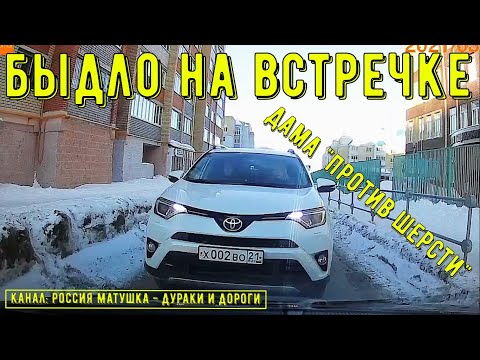 Видео: Быдло на встречке #138! Подборка на видеорегистратор!