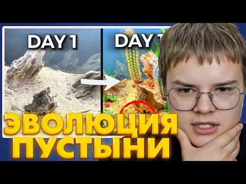 Видео: КАША СМОТРИТ: «100 ДНЕЙ В ПУСТЫНЕ: ЭКСПЕРИМЕНТ!»
