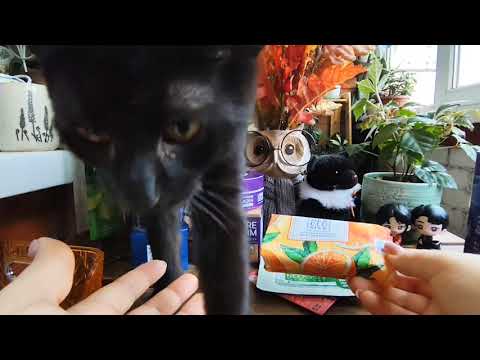 Видео: Пустые баночки 🍁🌿🍁 Октябрь ☔🍁 🌿