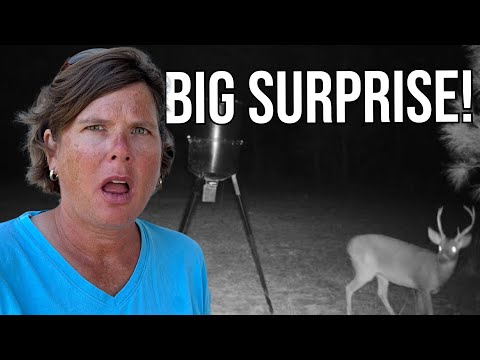 Видео: Вы не поверите, что мы засняли на камеру