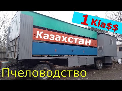 Видео: Пчелопавильон с Казахстана / Раскривушка / Мировое пчеловодство.