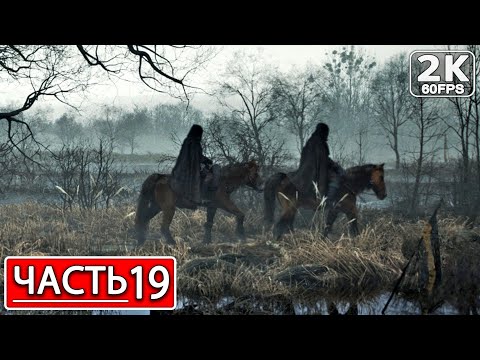 Видео: THE WITCHER 3: WILD HUNT Полное Прохождение Часть 19 ВЕДЬМАК 3 ДИКАЯ ОХОТА #shorts
