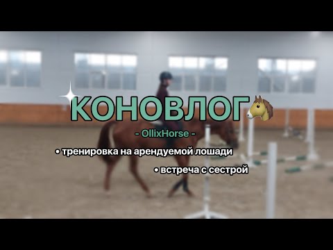 Видео: КОНОВЛОГ🐴 3-я тренировка на арендуемой лошади🐎 OllixHorse
