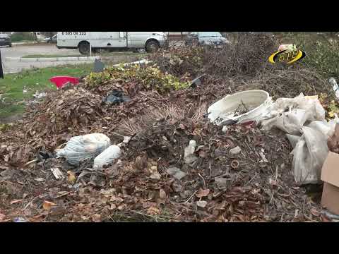 Видео: Осенний листопад и… мусор
