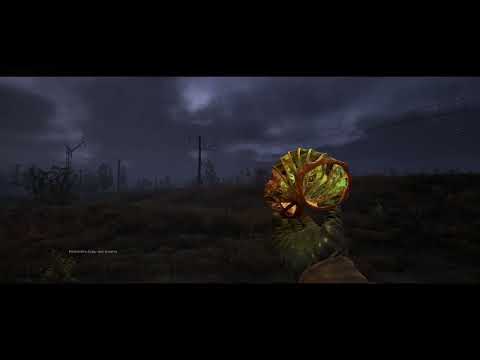 Видео: S.T.A.L.K.E.R. 2 "Артефакт "Ріг"