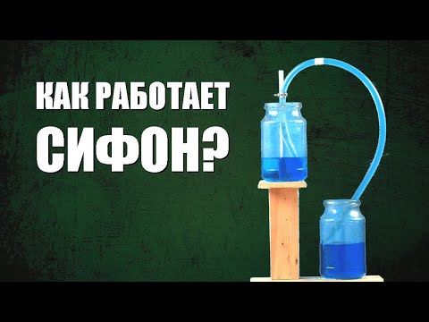 Видео: За счёт чего сифон перекачивает воду?