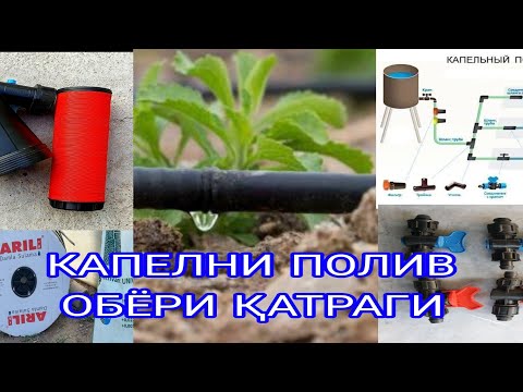Видео: ОБЁРИ ҚАТРАГИ (КАПЕЛНИ ПОЛИВ) ТАРЗӢ ДУРУСТ ИСТИФОДА БУРДАН ВА ФОИДАҲОИ ОН.