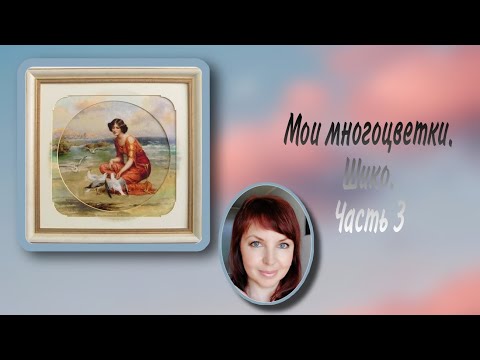 Видео: Мои многоцветки. Шико. Часть 3