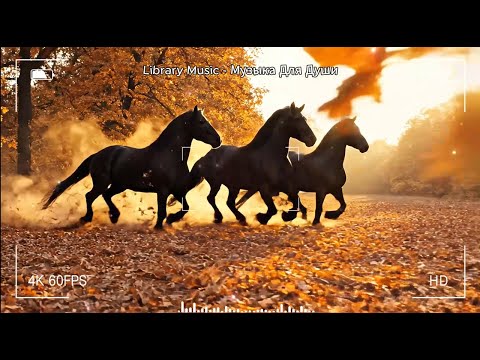 Видео: Самая красивая мелодия в мире...Я плакала, когда услышала эту песню! Чудесно и Красиво для души!