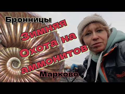 Видео: Зимняя охота на аммонитов Amoeboceras. Бронницы-Марково.