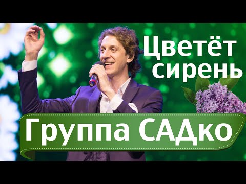 Видео: ЦВЕТЁТ СИРЕНЬ - АБАЛДЕННАЯ песня от ГРУППЫ САДко !