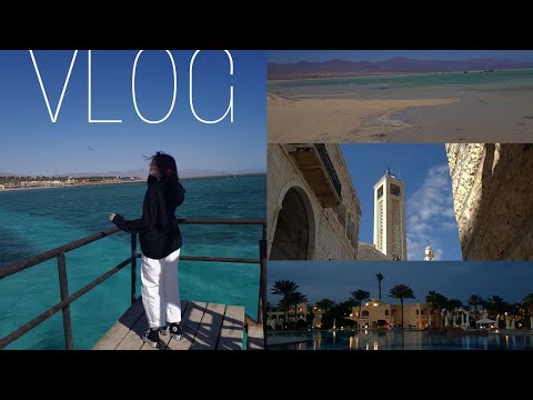 Видео: влог из египта и израиля; 2 страны за неделю, новые места и незабываемые ощущения;