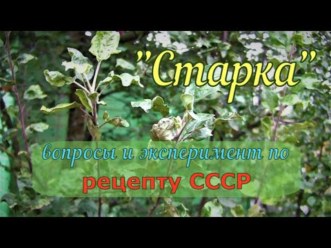 Видео: "СТАРКА" по советскому рецепту. Есть вопросы, экспериментирую.