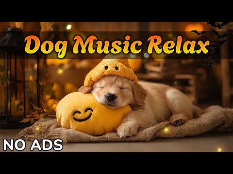 Видео: Расслабляющая музыка для собак 🐾 Помогает спать спокойно и снимать тревогу при разлуке 💖