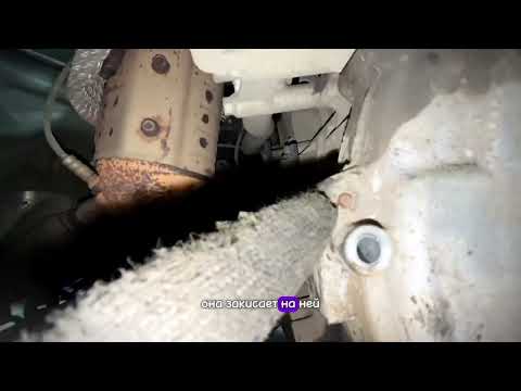 Видео: ГРМ Hyundai KIA k5 2.0 бензин замена цепи грм и насоса #kia #hyundai #грм #k5 2.0бензин
