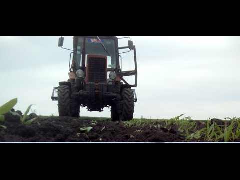 Видео: Прополка междурядья на тыкве с шириной 2,1 метра.